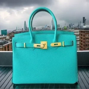 Cordae Green 30 CM Genuine Leather The New York Collection Luxury Handbag